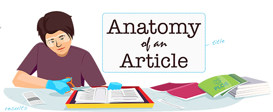 Anatomy Of An Article