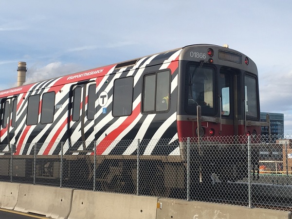 Zebra Subway Car Runs Through Boston To Draw Attention To Rare Diseases 