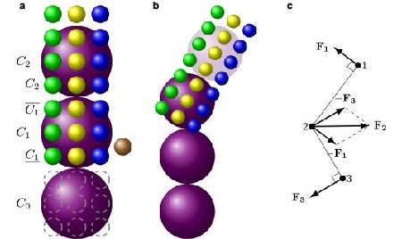 Computer Models Provide New Understanding Of Sickle Cell Disease 