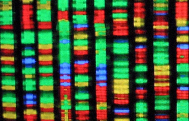 Gene-Therapy Company Crispr Drops As FDA Puts Trial On Hold 