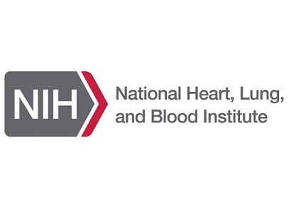 Statement On NHLBI Decision To Pause The Pilot And Feasibility Study Of Hematopoietic Stem Cell Gene Transfer For Sickle Cell Disease 
