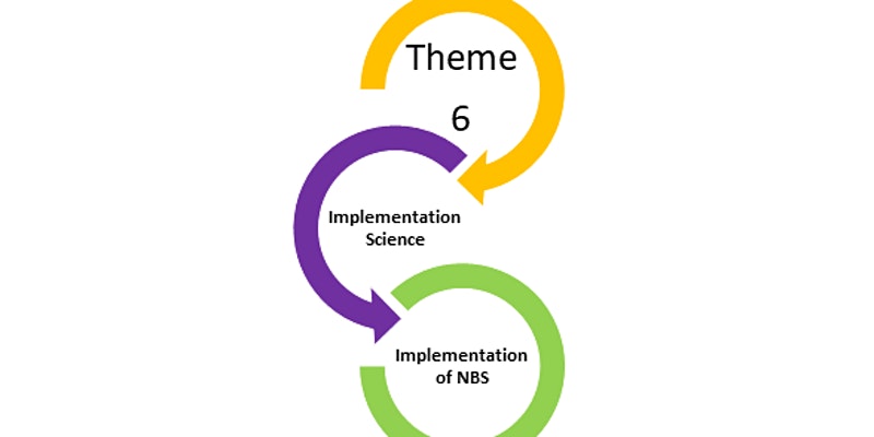 How Can Implementation Science Frameworks Help Implement New Born Screening 