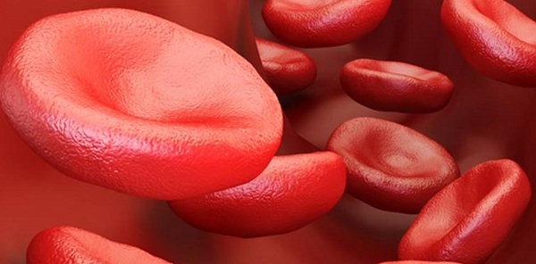 Sickle Cell Disease: All You Need To Know 