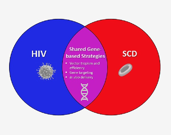 NIH Launches New Collaboration To Develop Gene-Based Cures For Sickle Cell Disease And HIV On Global Scale 