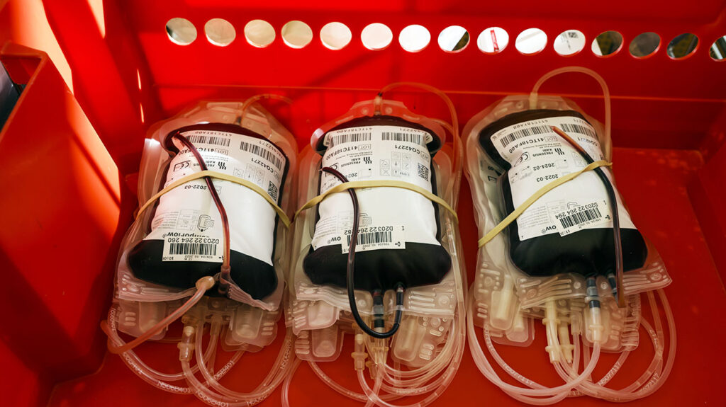 Lab-Grown Blood: What Is It, And How Could It Be Useful? 